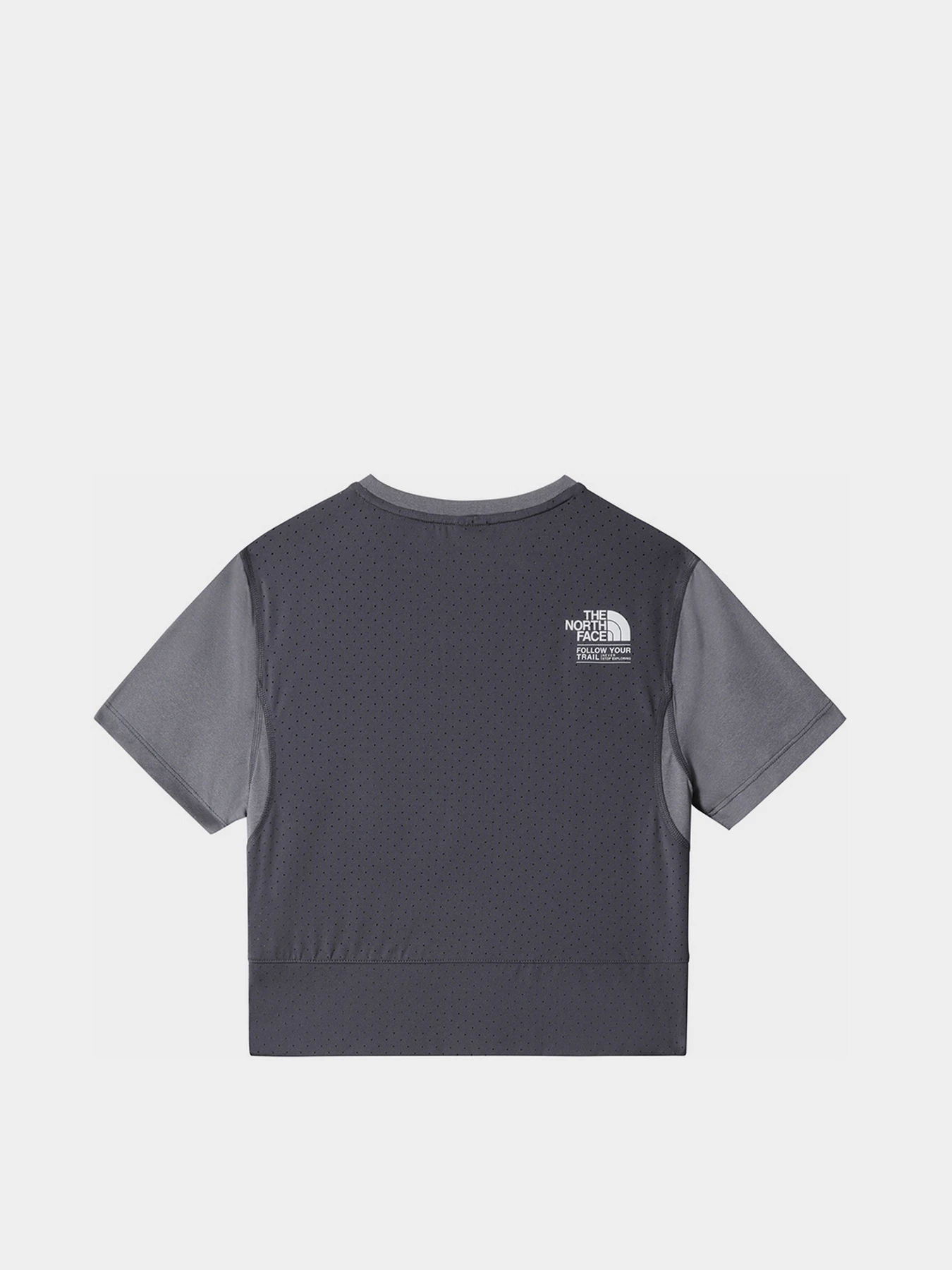 Футболки и поло The North Face модель NF0A5IFLPAX1 Футболки и поло The North Face модель NF0A5IFLPAX1 Фото