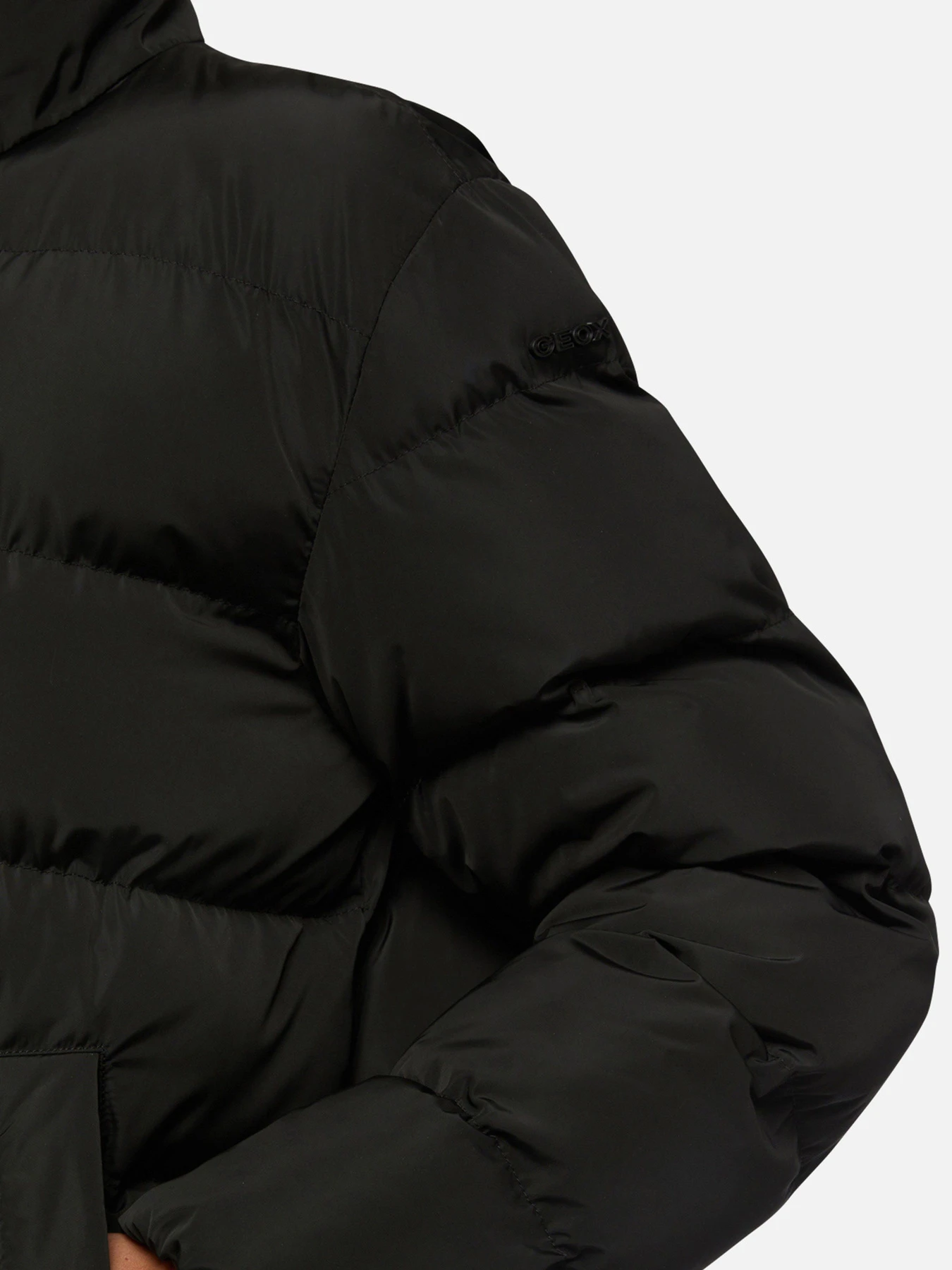 Куртки и дубленки Geox модель W2628C-T2506-F9000 Куртки и дубленки Geox модель W2628C-T2506-F9000 Фото