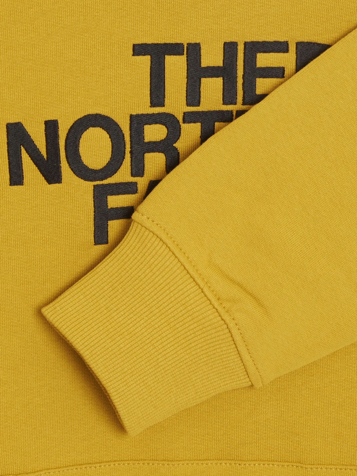 Худи и свитшоты The North Face модель NF00AHJY76S1 Худи и свитшоты The North Face модель NF00AHJY76S1 Фото
