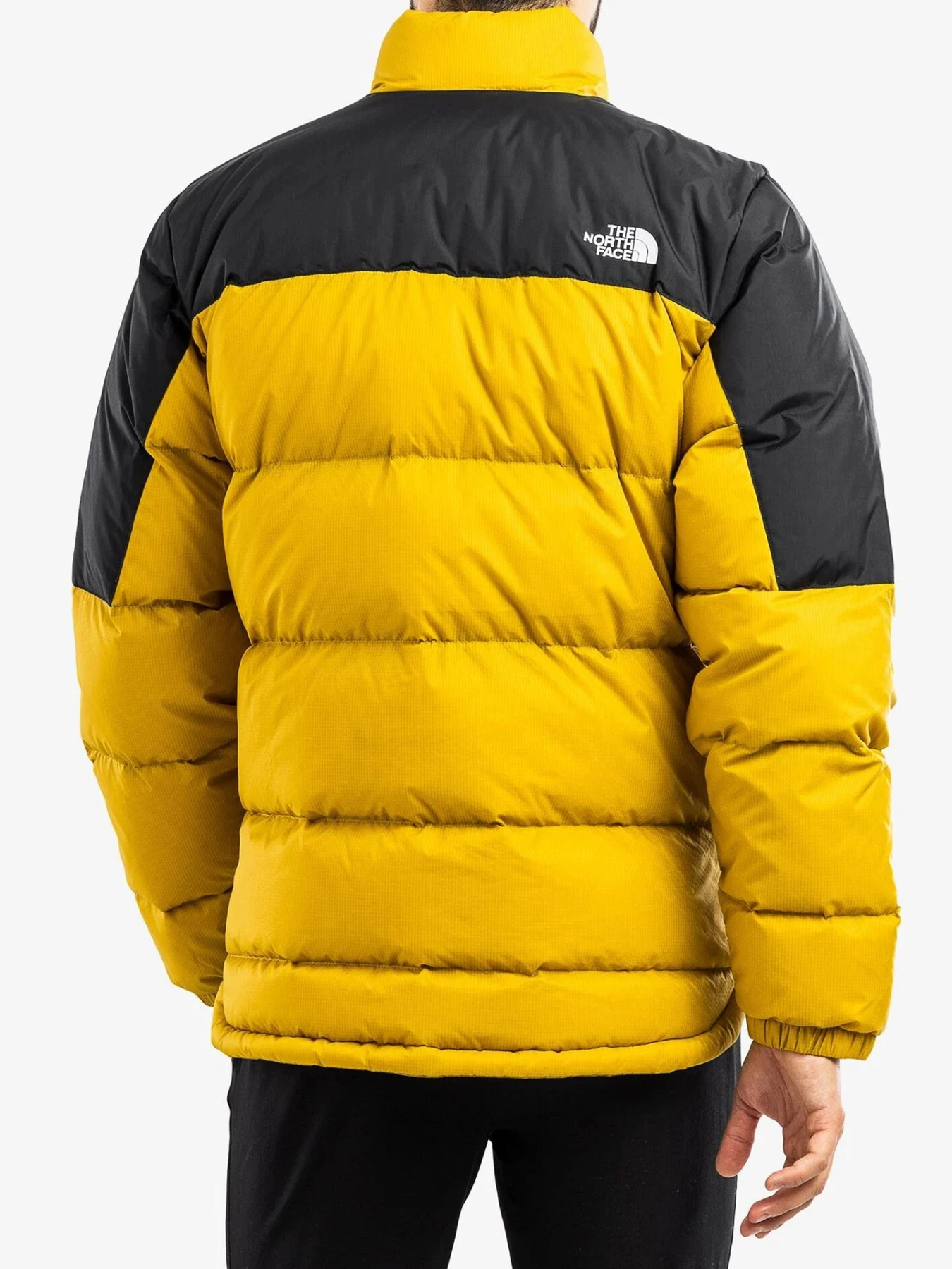 Куртки и дубленки The North Face модель NF0A4M9J81U1 Фото