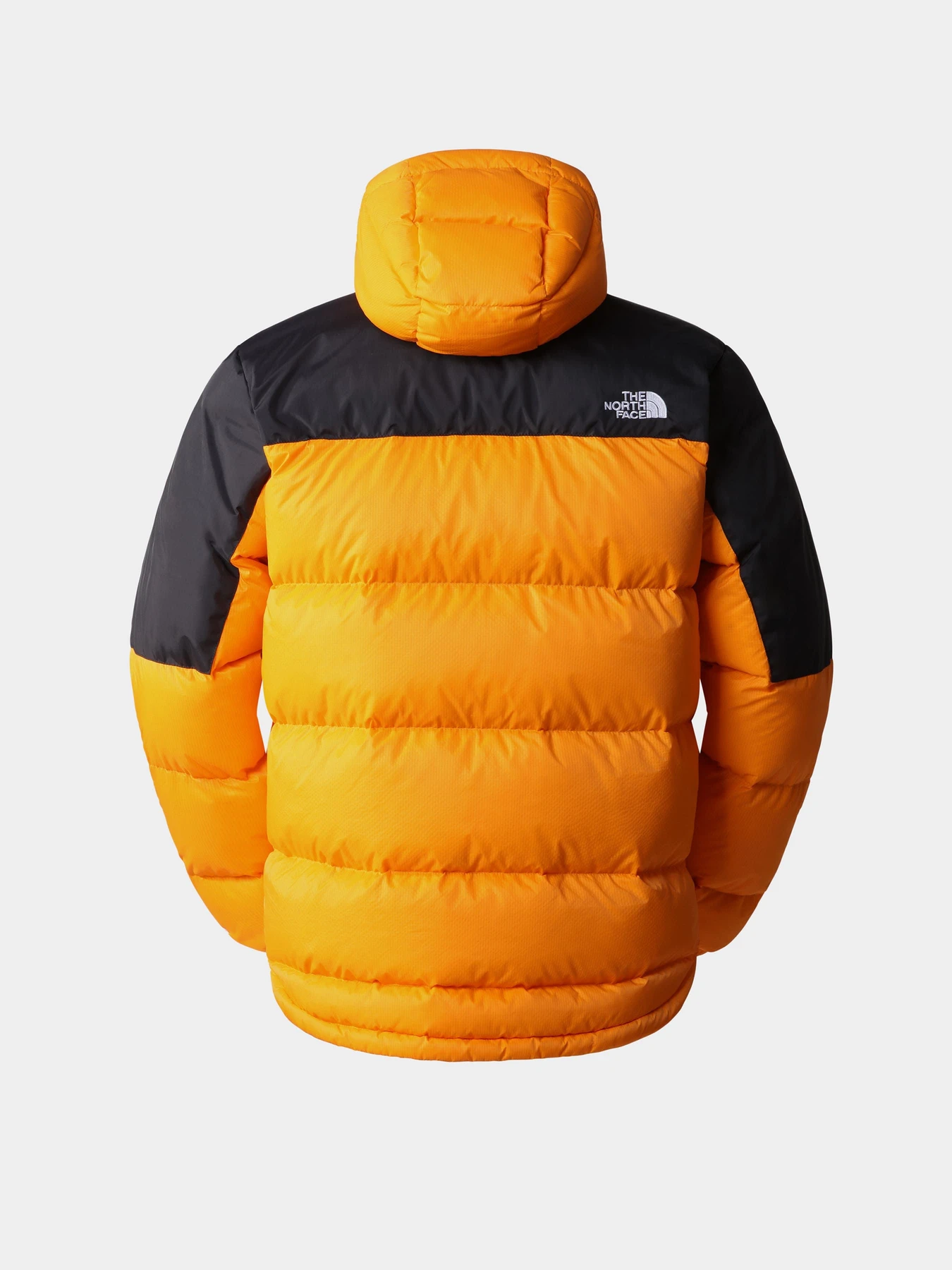 Куртки и дубленки The North Face модель NF0A4M9L7Q61 Куртки и дубленки The North Face модель NF0A4M9L7Q61 Фото
