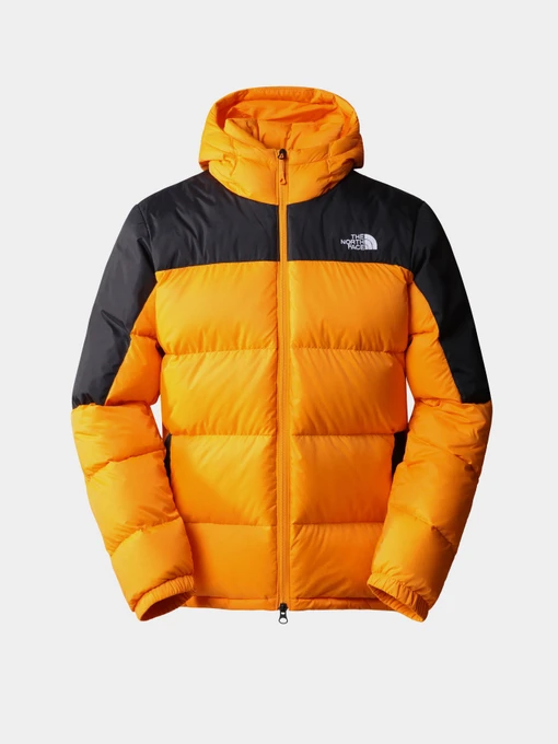 Куртки и дубленки The North Face модель NF0A4M9L7Q61 Фото