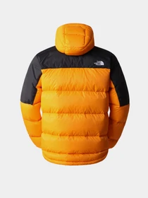 Куртки и дубленки The North Face модель NF0A4M9L7Q61 Фото