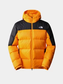 Куртки и дубленки The North Face модель NF0A4M9L7Q61 Фото