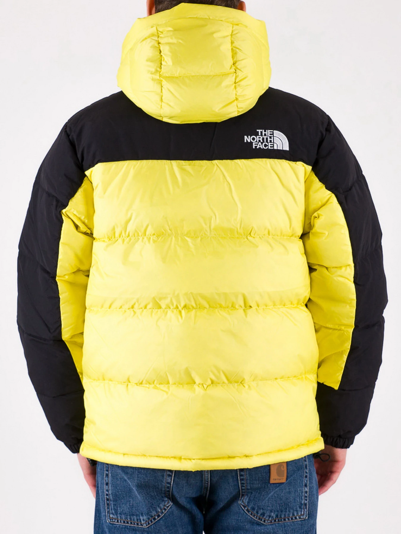 Куртки и дубленки The North Face модель NF0A4QYX71U1 Фото