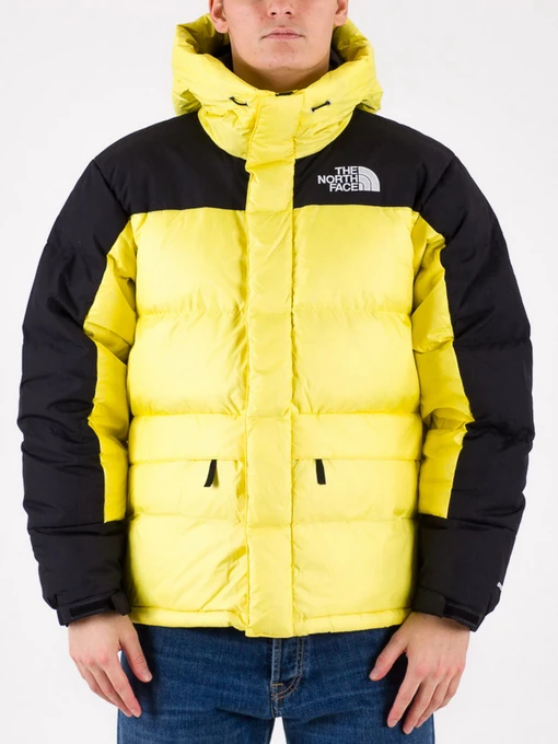 Куртки и дубленки The North Face модель NF0A4QYX71U1 Фото