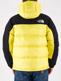Куртки и дубленки The North Face модель NF0A4QYX71U1 Фото