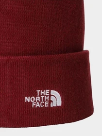 Шапки и кепки The North Face модель NF0A5FW16R31 Фото