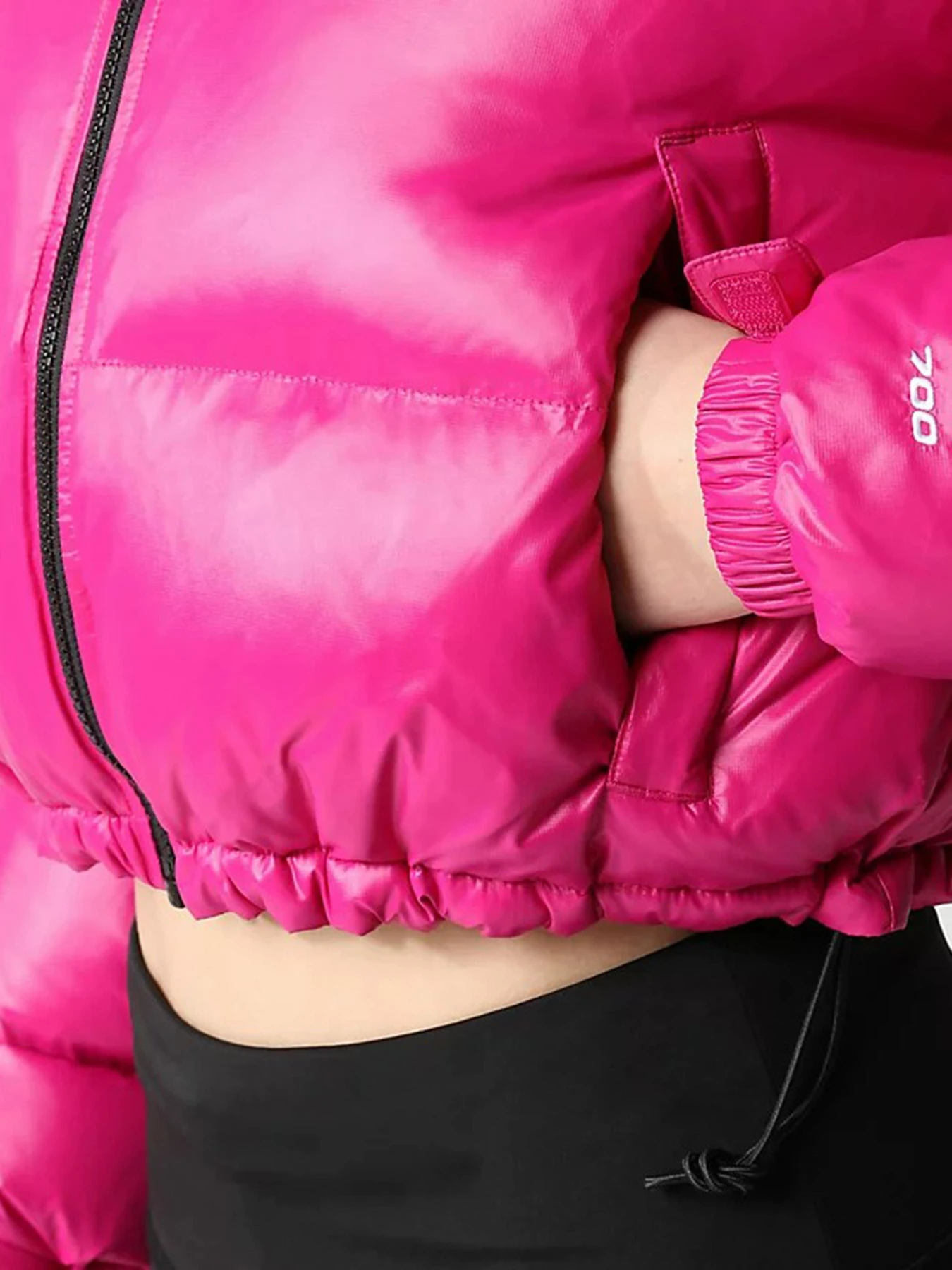 Куртки и дубленки The North Face модель NF0A5GGE1461 Куртки и дубленки The North Face модель NF0A5GGE1461 Фото