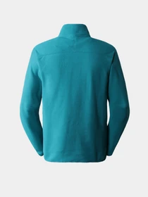 Худи и свитшоты The North Face модель NF0A5IHP2W91 Фото