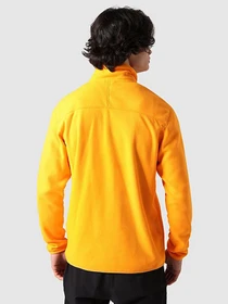 Худи и свитшоты The North Face модель NF0A5IHP78M1 Фото
