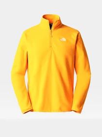 Худи и свитшоты The North Face модель NF0A5IHP78M1 Фото