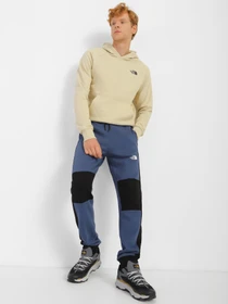 Брюки The North Face модель NF0A7X1ZHDC1 Фото
