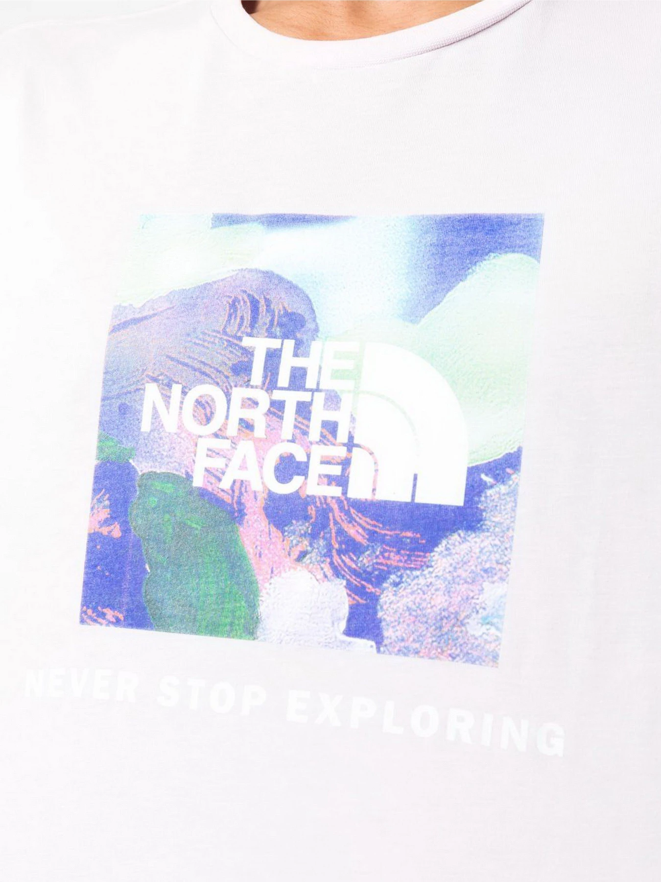 Футболки и поло The North Face модель NF0A7X3K6S11 Футболки и поло The North Face модель NF0A7X3K6S11 Фото