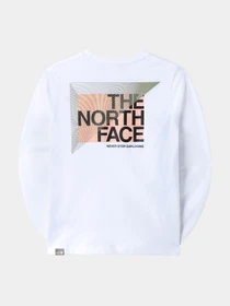 Худи и свитшоты The North Face модель NF0A7X5FFN41 Фото