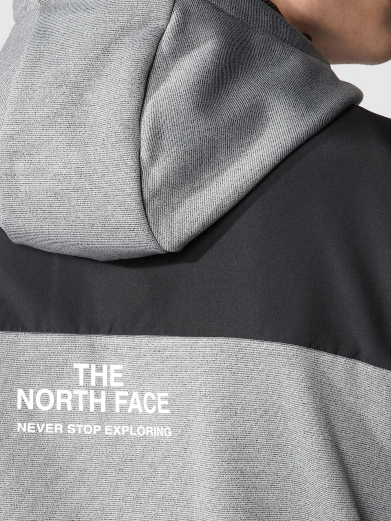 Худи и свитшоты The North Face модель NF0A7ZAJGVD1 Худи и свитшоты The North Face модель NF0A7ZAJGVD1 Фото
