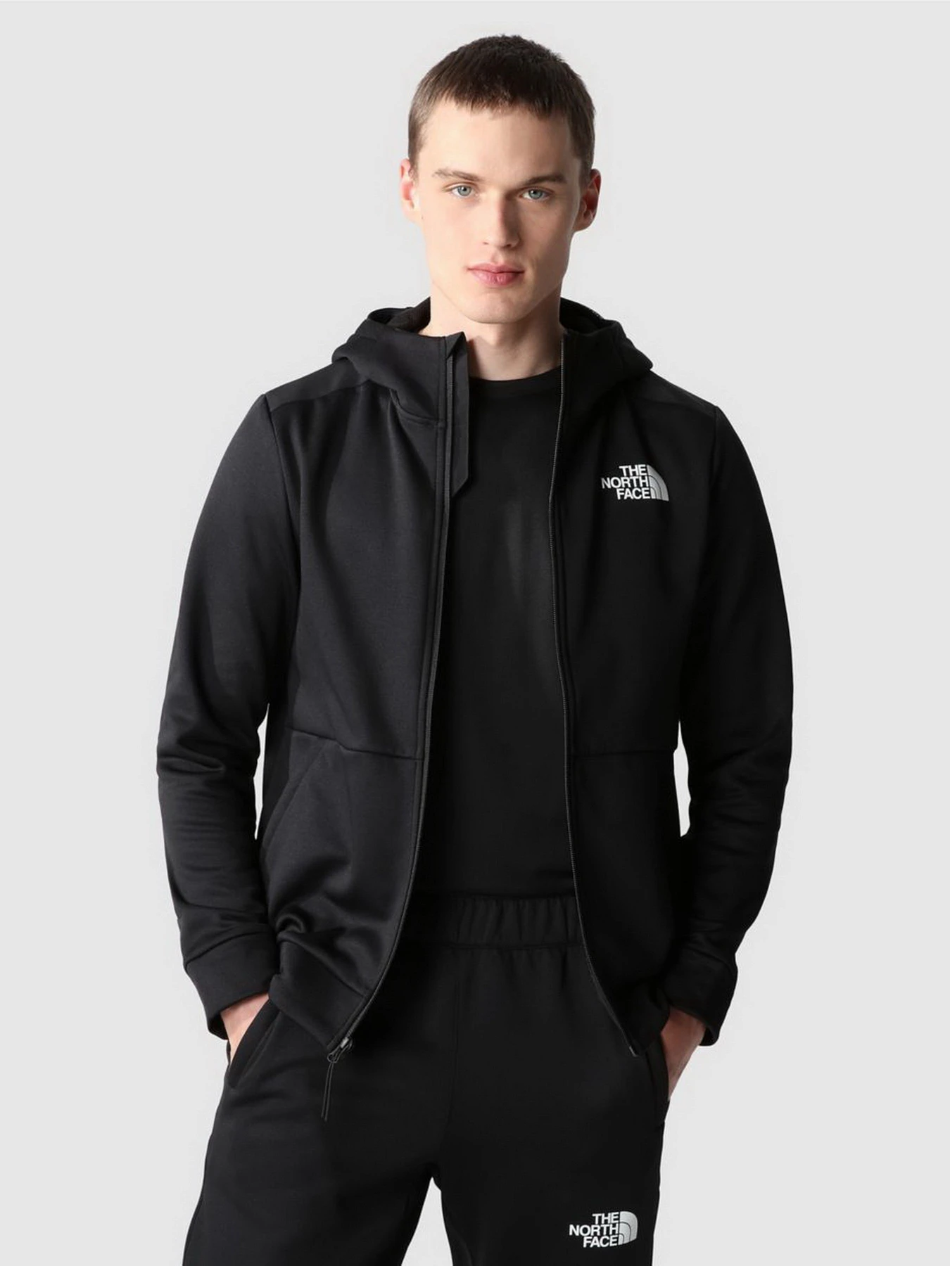 Худи и свитшоты The North Face модель NF0A7ZAJJK31 Худи и свитшоты The North Face модель NF0A7ZAJJK31 Фото