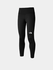 Брюки The North Face модель NF0A7ZB8JK31 Фото