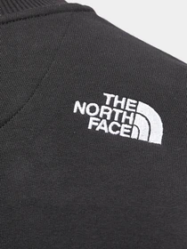 Худи и свитшоты The North Face модель NF0A4SVRJK31 Фото