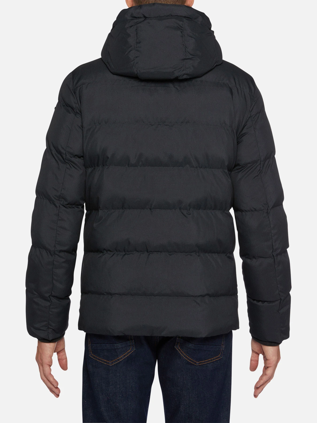 Куртки и дубленки Geox модель M2628U-T2667-F9112 Фото