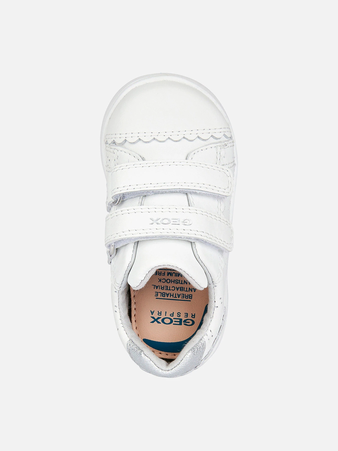 Кроссовки Geox модель B351WB-085QD-C0007 Кроссовки Geox модель B351WB-085QD-C0007 Фото