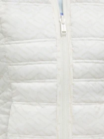 Куртки и дубленки GUESS модель W3RL04-WF5C2-G011 Фото
