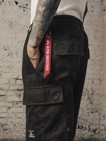 Брюки Alpha Industries модель MBS53000C1_001 Фото