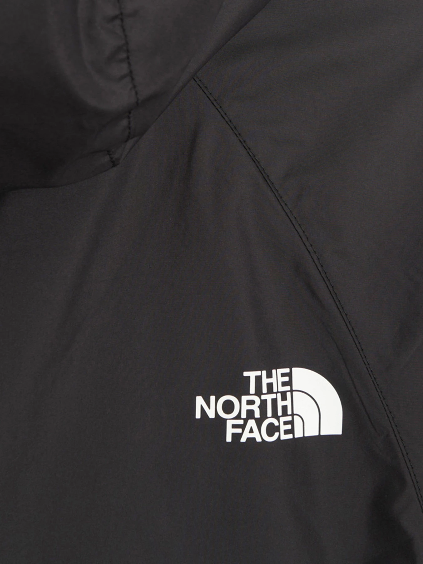 Куртки и дубленки The North Face модель NF0A5J5GJK31 Куртки и дубленки The North Face модель NF0A5J5GJK31 Фото