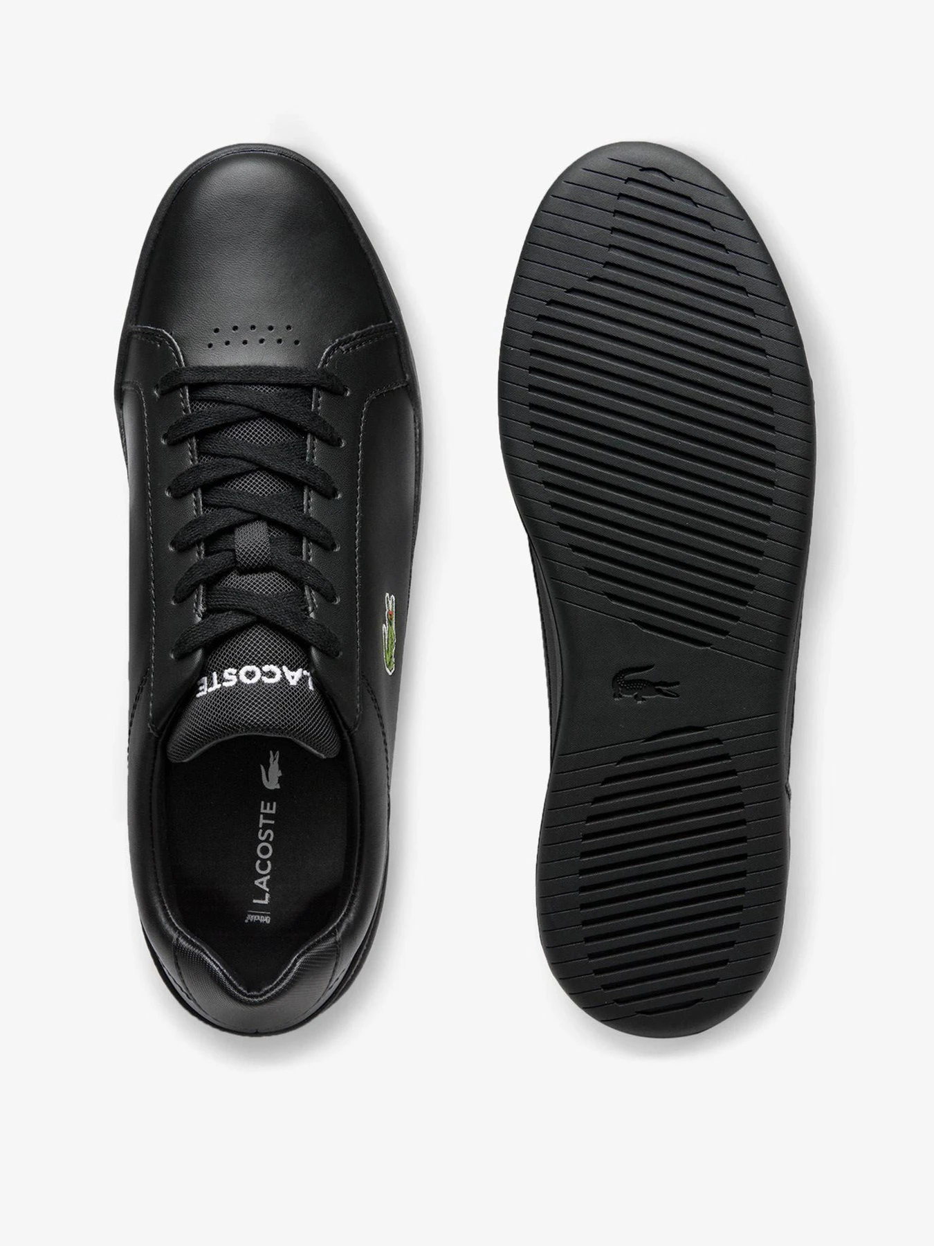Кеды Lacoste модель 740SMA0080-02H Кеды Lacoste модель 740SMA0080-02H Фото
