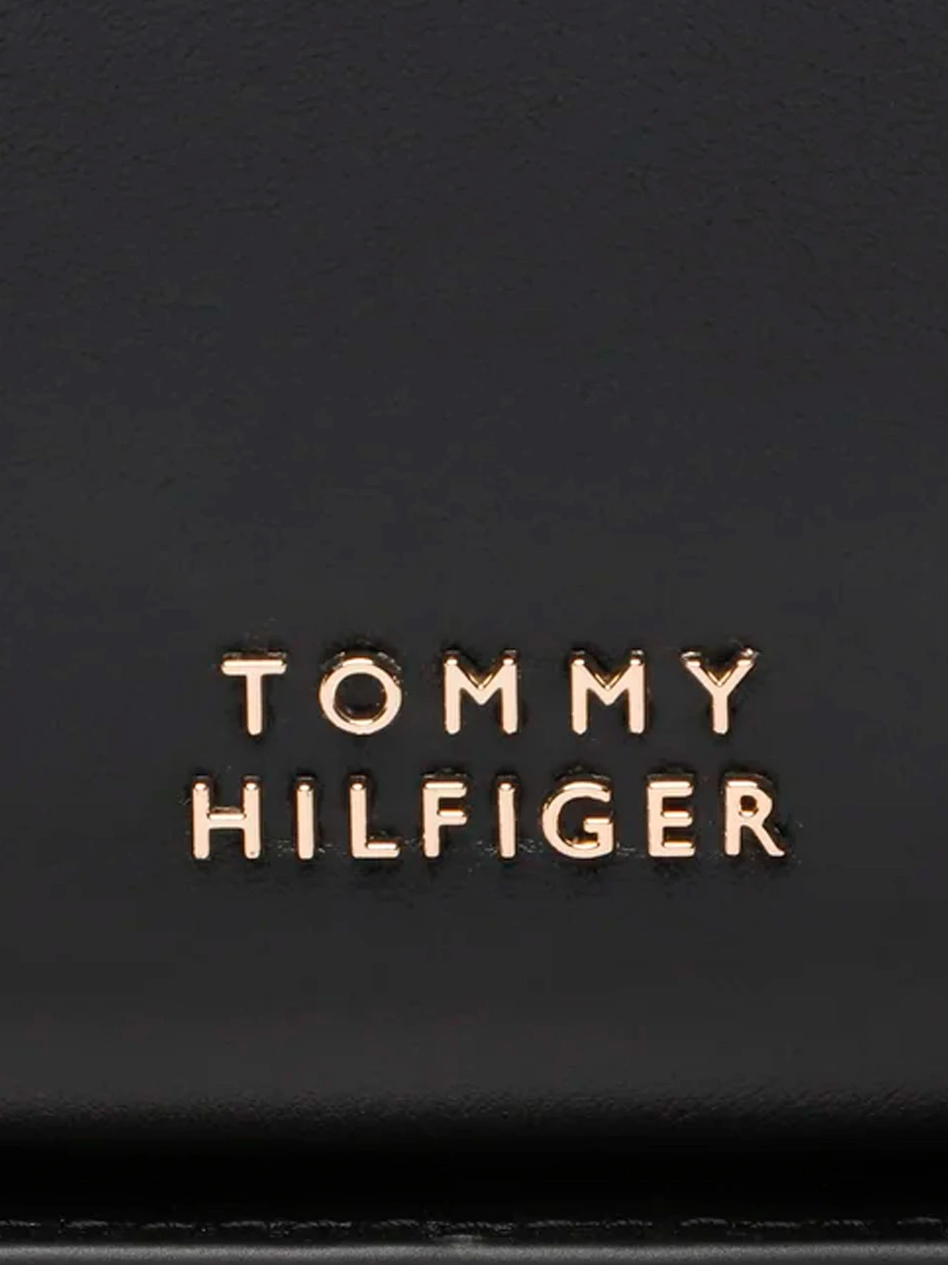 Сумки Tommy Hilfiger модель AW0AW14211-BDS Фото