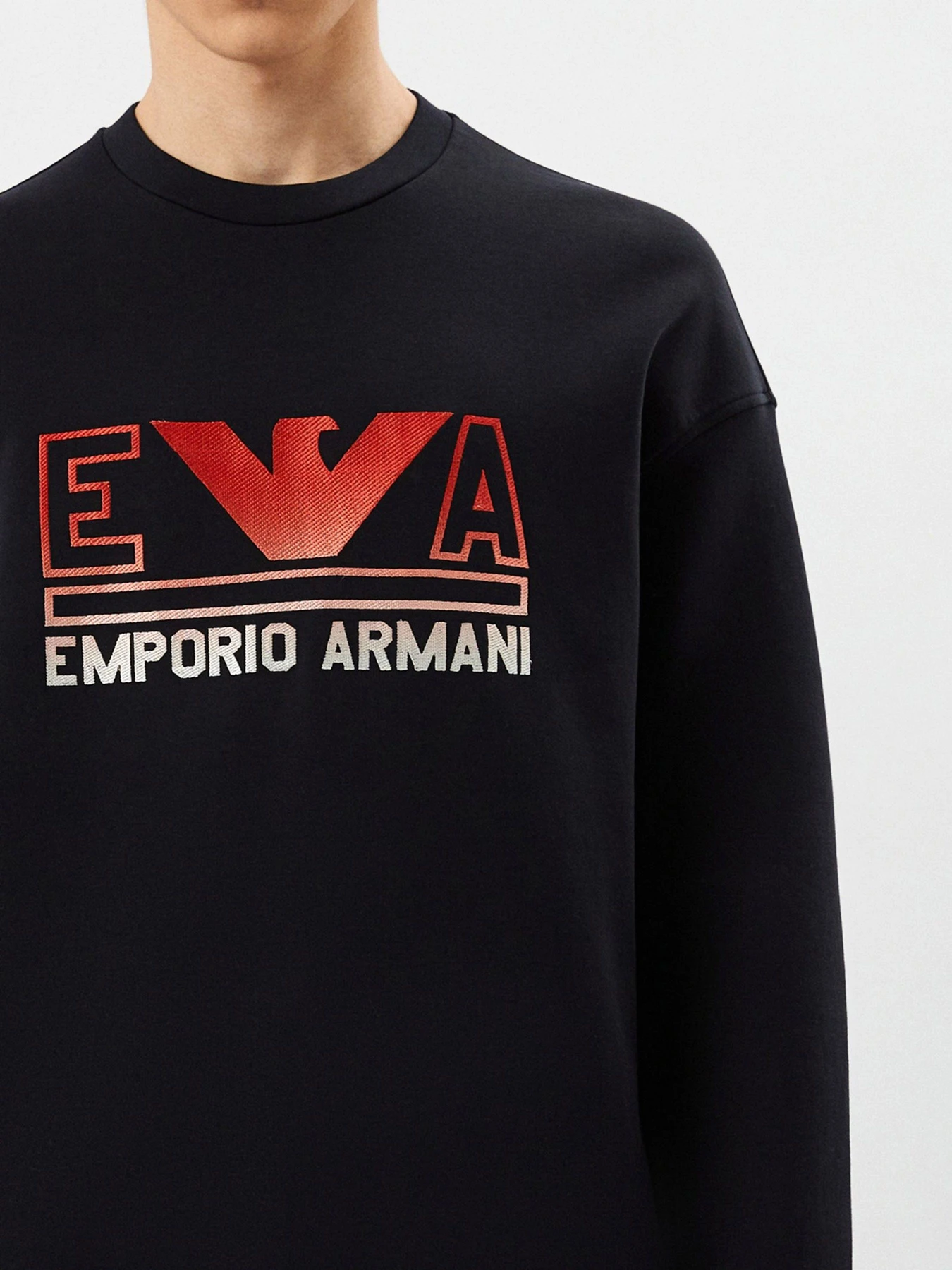 Худи и свитшоты Emporio Armani модель 3R1MBT-1JHSZ-09K3 Худи и свитшоты Emporio Armani модель 3R1MBT-1JHSZ-09K3 Фото