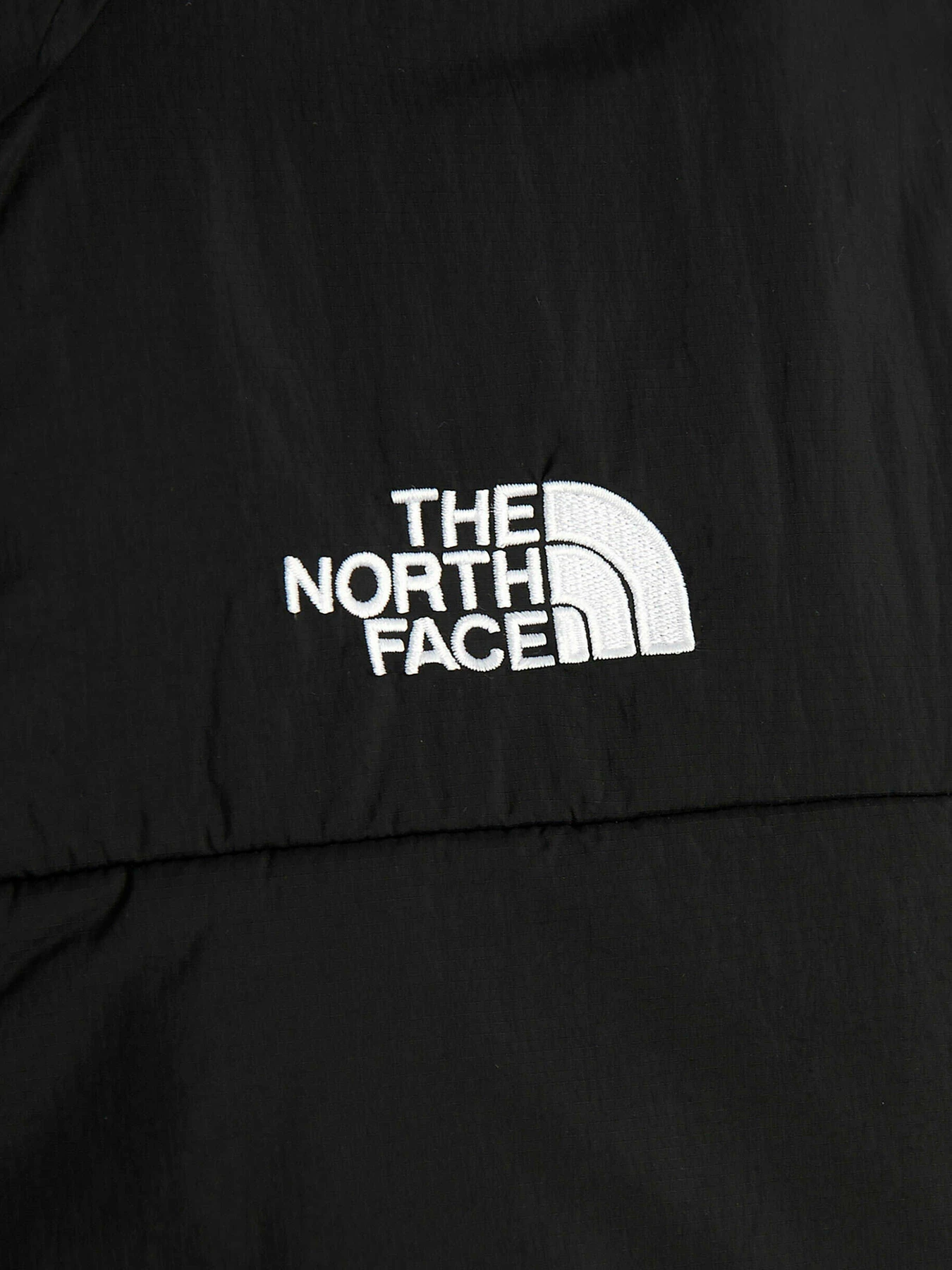 Куртки и дубленки The North Face модель NF0A491JJK31 Куртки и дубленки The North Face модель NF0A491JJK31 Фото