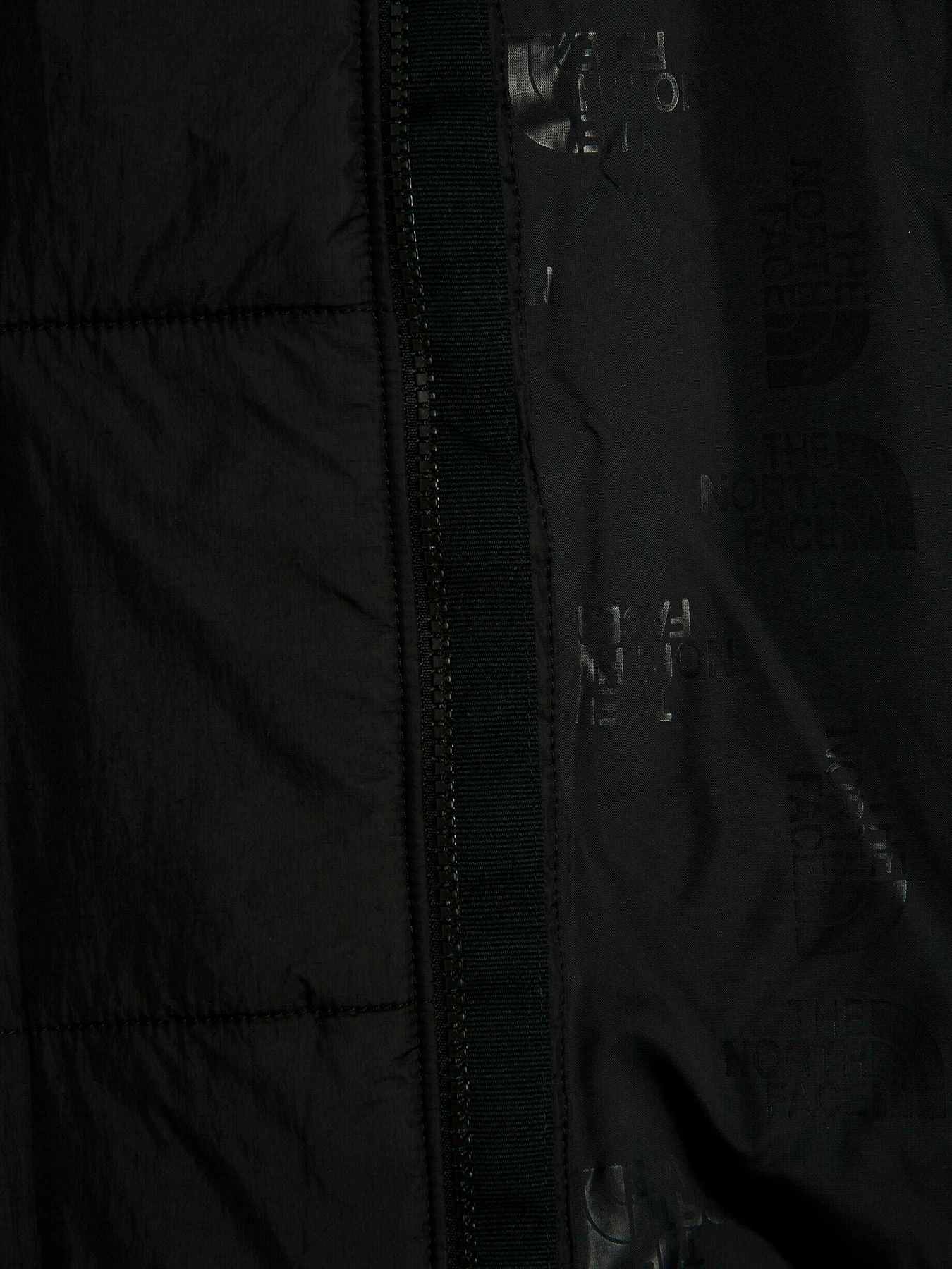 Куртки и дубленки The North Face модель NF0A491JJK31 Куртки и дубленки The North Face модель NF0A491JJK31 Фото