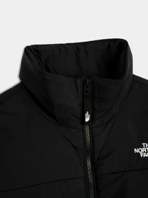 Куртки и дубленки The North Face модель NF0A491JJK31 Фото