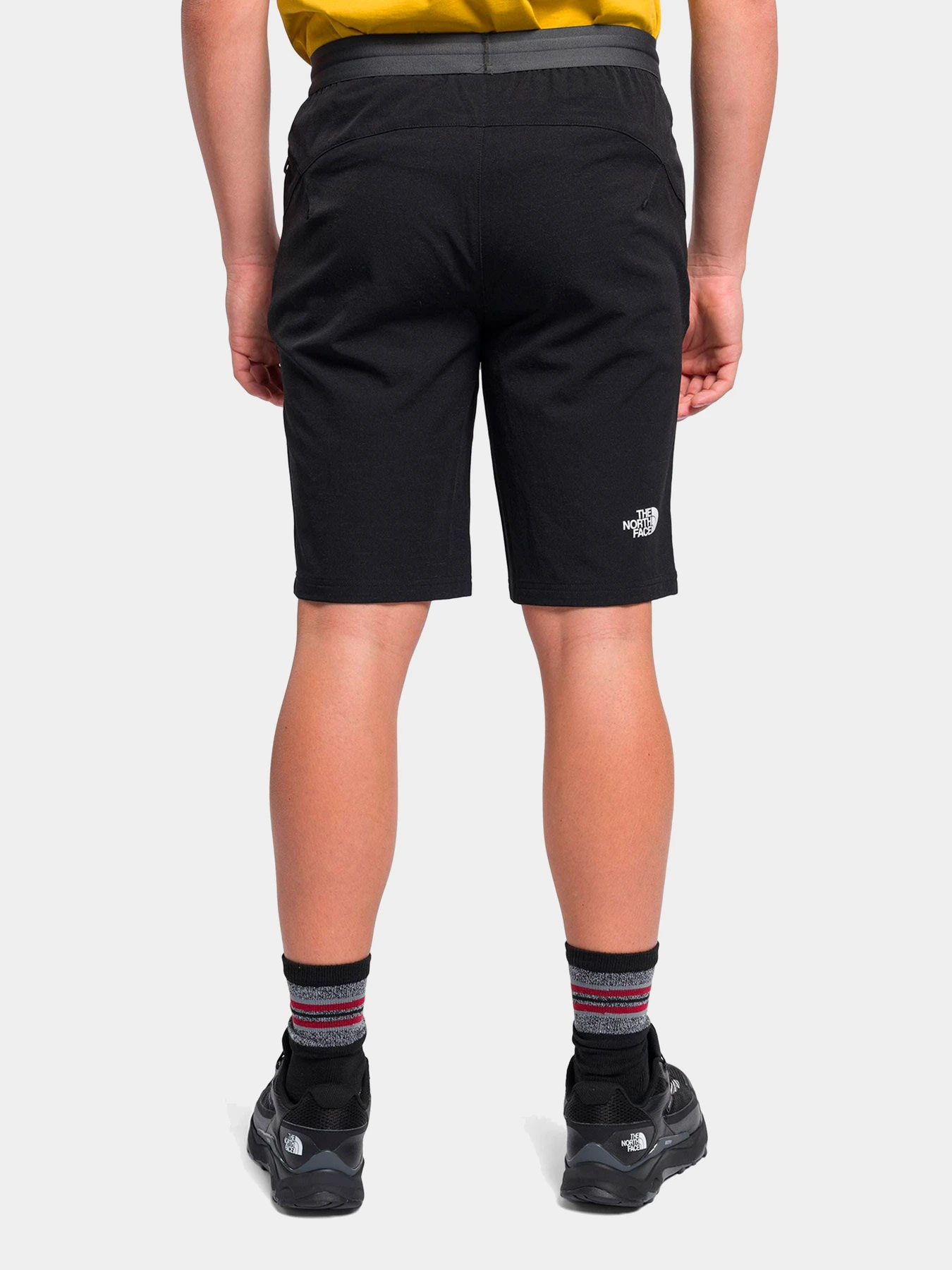 Шорты The North Face модель NF0A5IMMJK31 Фото