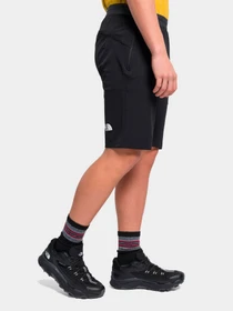 Шорты The North Face модель NF0A5IMMJK31 Фото