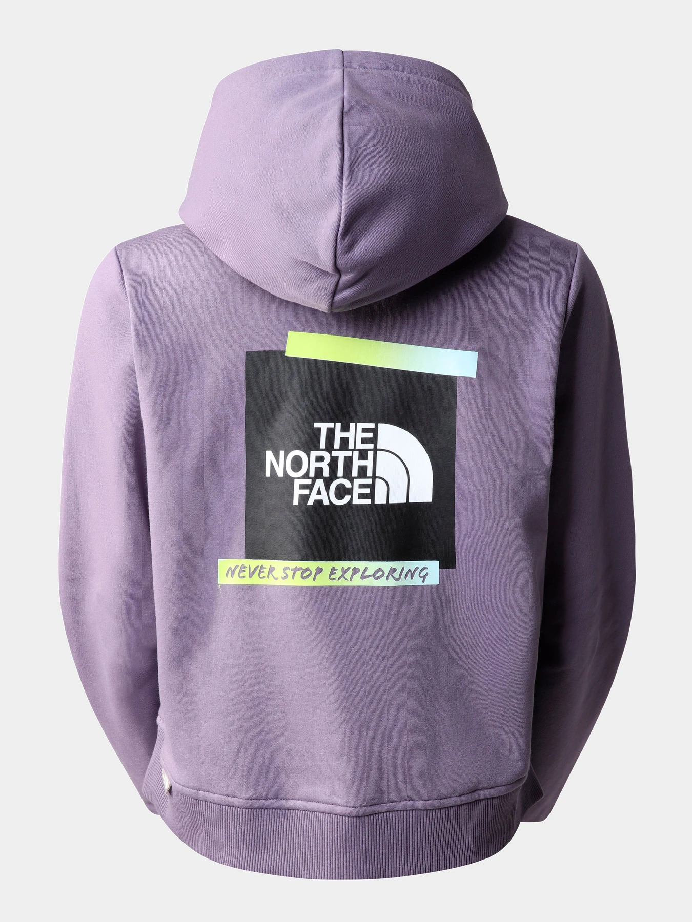 Худи и свитшоты The North Face модель NF0A83FHN141 Худи и свитшоты The North Face модель NF0A83FHN141 Фото