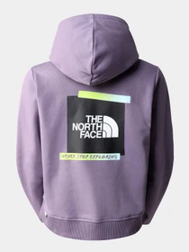 Худи и свитшоты The North Face модель NF0A83FHN141 Фото