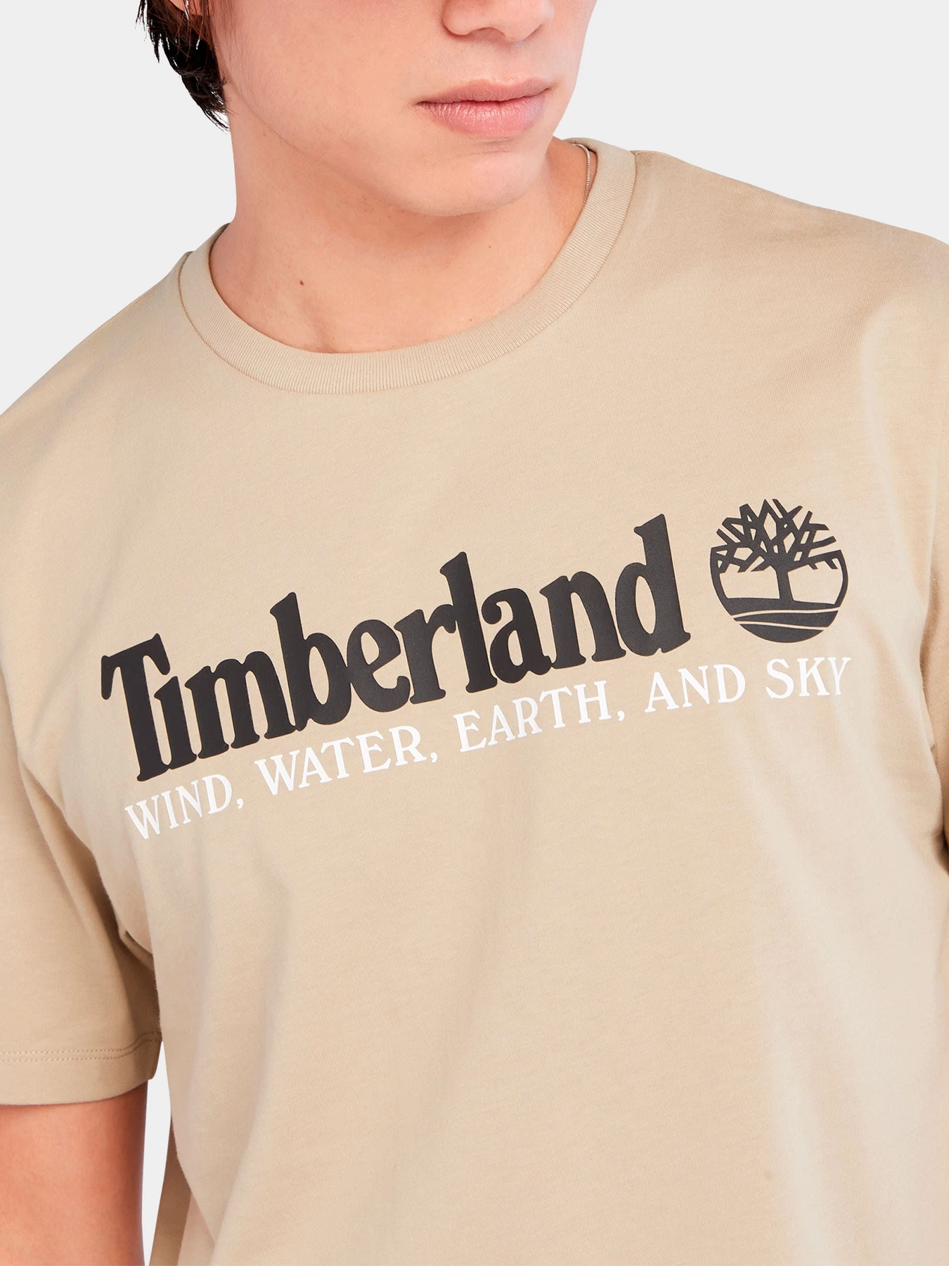 Футболки и поло Timberland модель TB0A27J8DH4 Футболки и поло Timberland модель TB0A27J8DH4 Фото