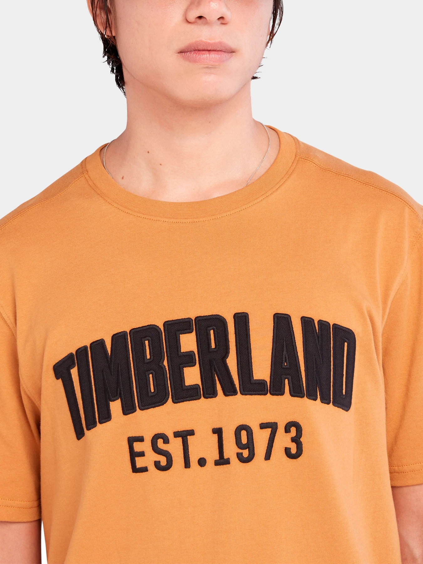 Футболки и поло Timberland модель TB0A6669P47 Футболки и поло Timberland модель TB0A6669P47 Фото