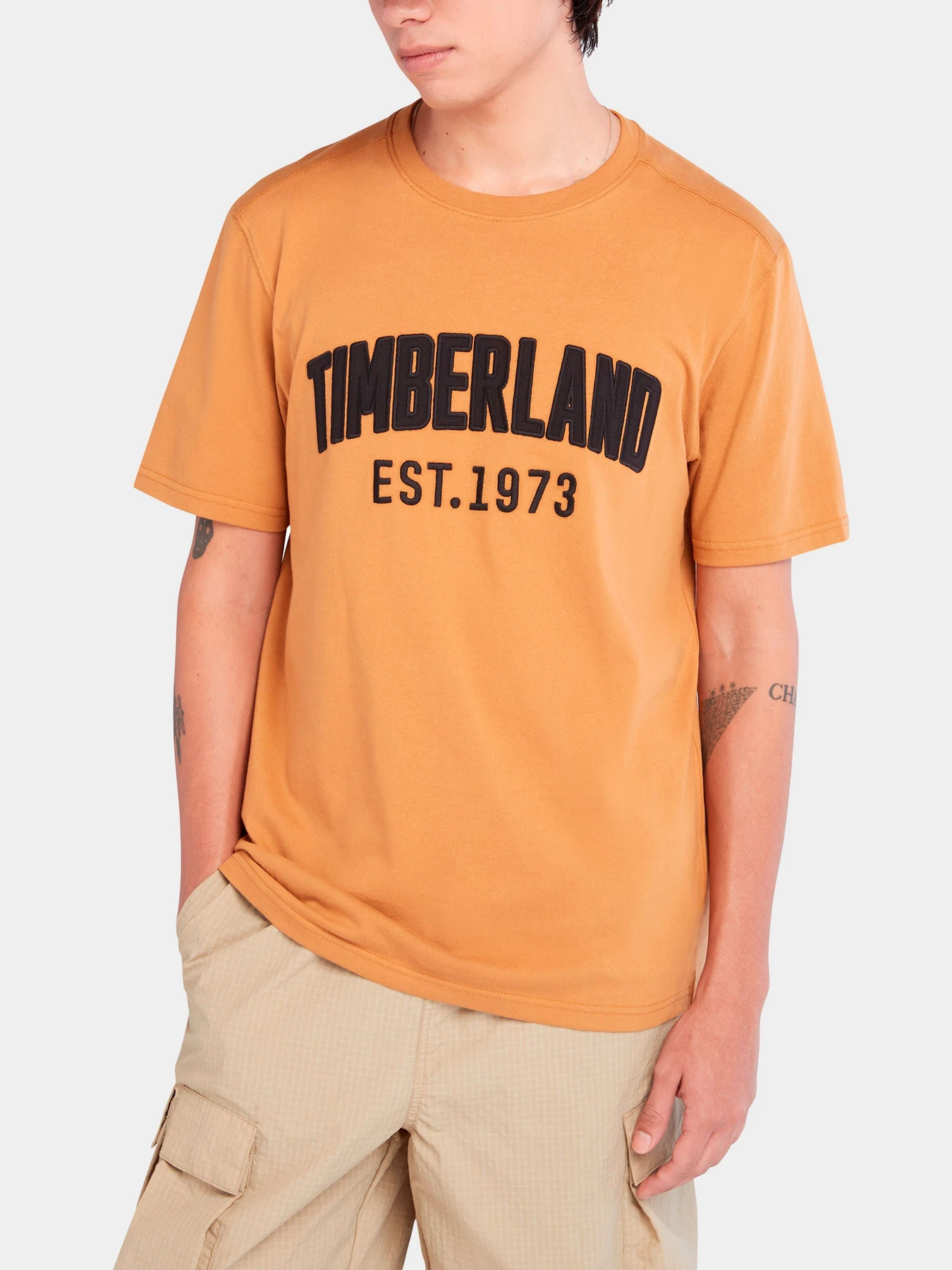 Футболки и поло Timberland модель TB0A6669P47 Футболки и поло Timberland модель TB0A6669P47 Фото
