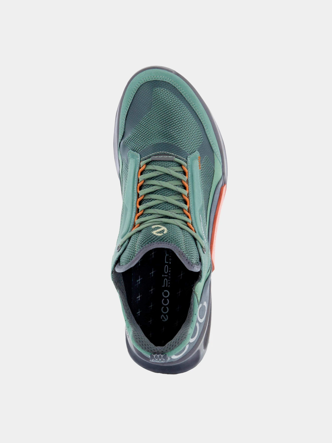 Кроссовки ECCO модель 82381460569 Кроссовки ECCO модель 82381460569 Фото
