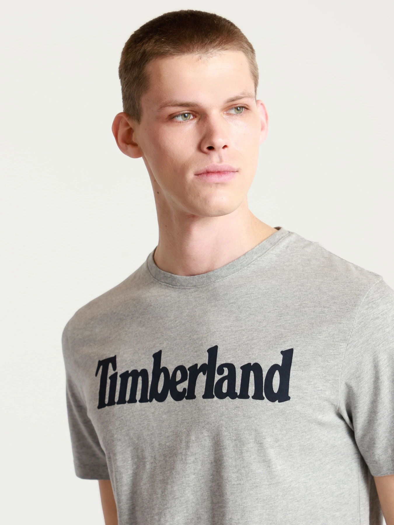 Футболки и поло Timberland модель A2C31052 Футболки и поло Timberland модель A2C31052 Фото