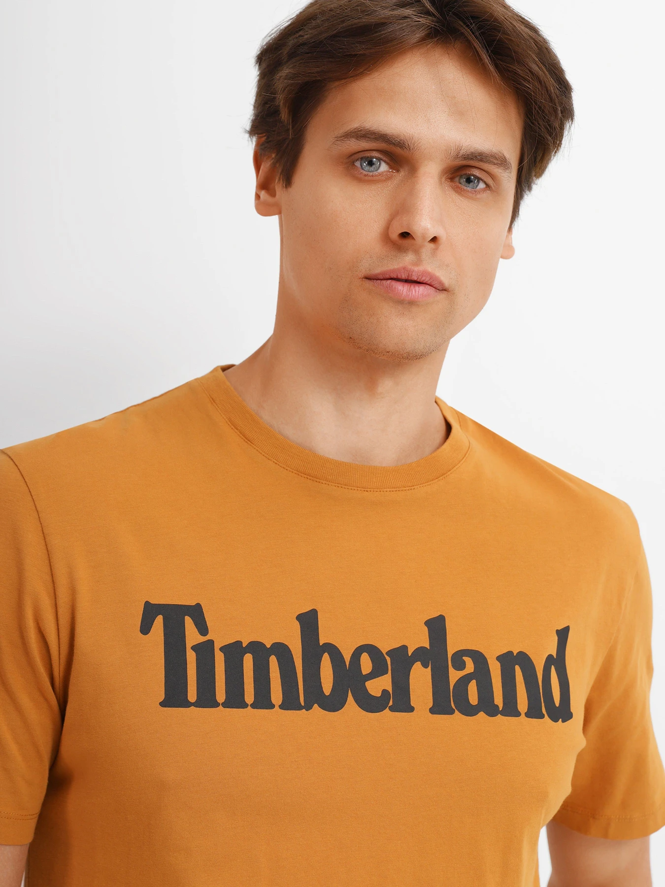 Футболки и поло Timberland модель TB0A2C31P47 Футболки и поло Timberland модель TB0A2C31P47 Фото
