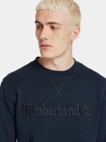 Худи и свитшоты Timberland модель TB0A2FEQ433 Фото