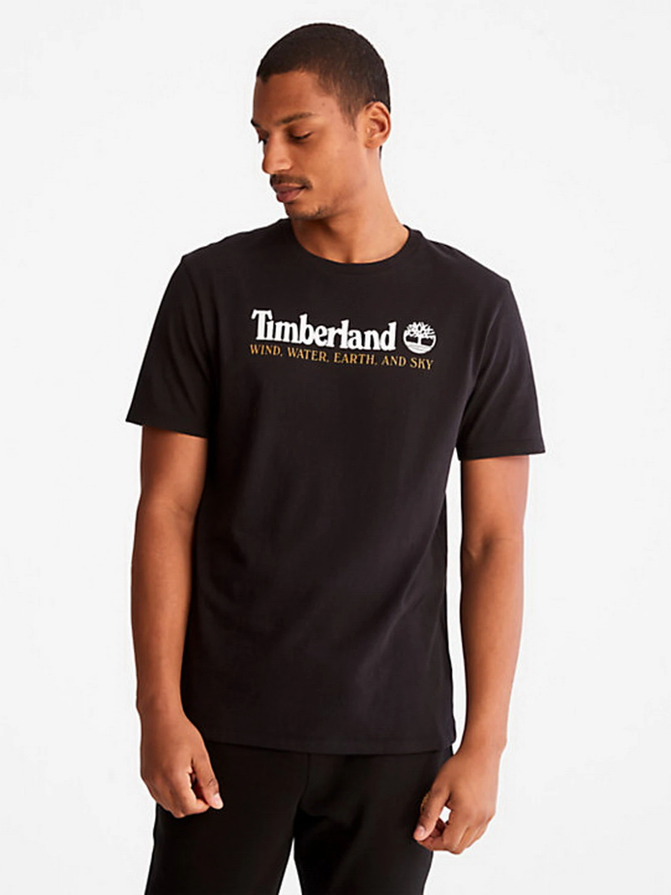 Футболки и поло Timberland модель TB0A27J8001 Футболки и поло Timberland модель TB0A27J8001 Фото