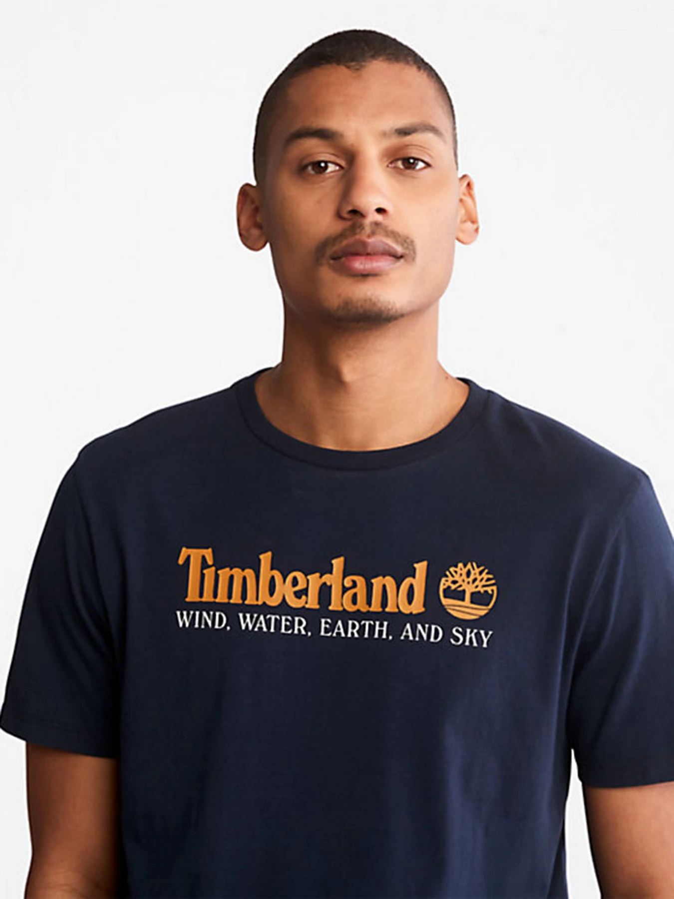 Футболки и поло Timberland модель TB0A27J8433 Футболки и поло Timberland модель TB0A27J8433 Фото