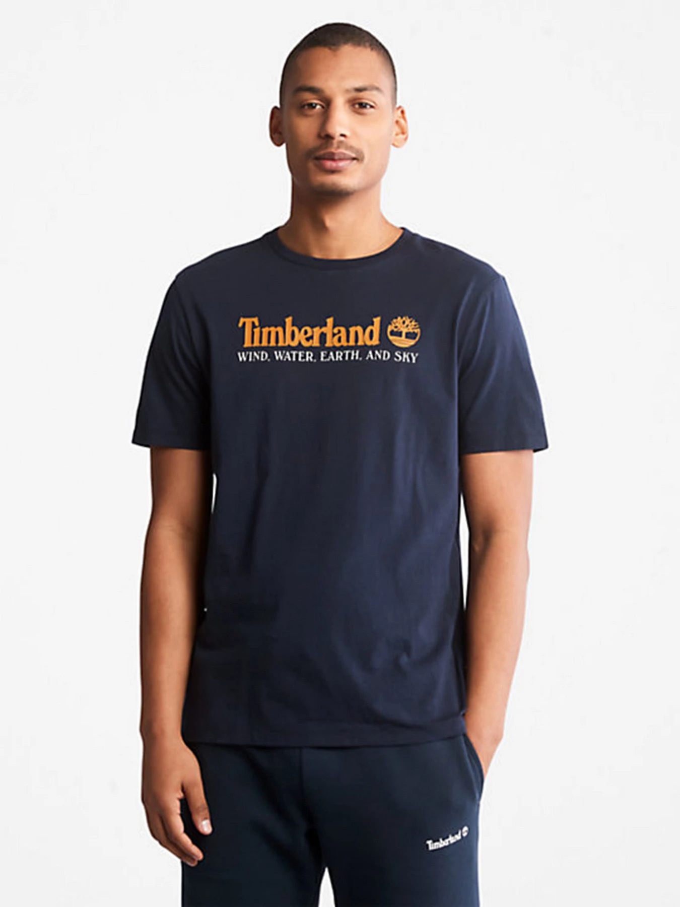Футболки и поло Timberland модель TB0A27J8433 Футболки и поло Timberland модель TB0A27J8433 Фото