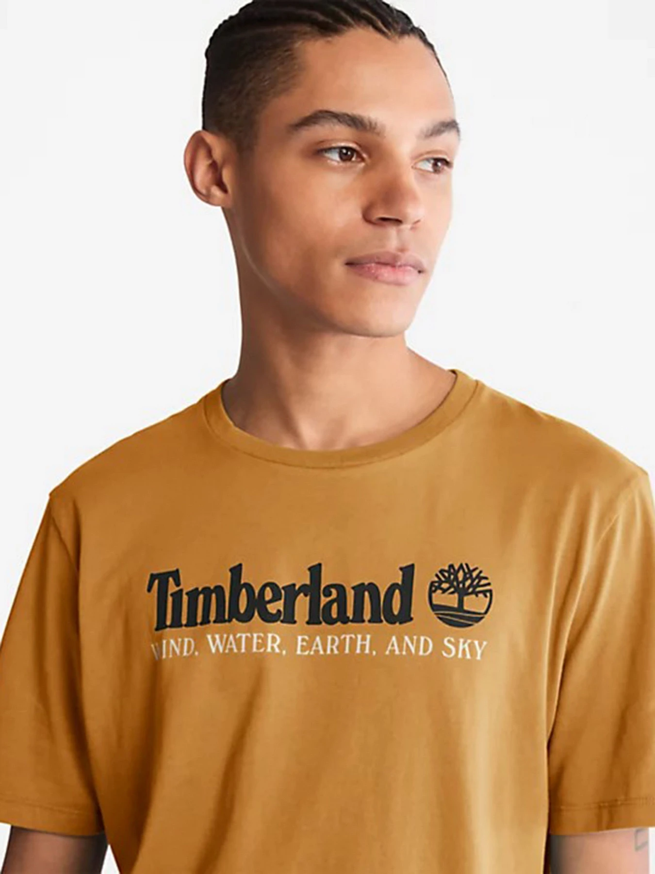 Футболки и поло Timberland модель TB0A27J8P47 Футболки и поло Timberland модель TB0A27J8P47 Фото