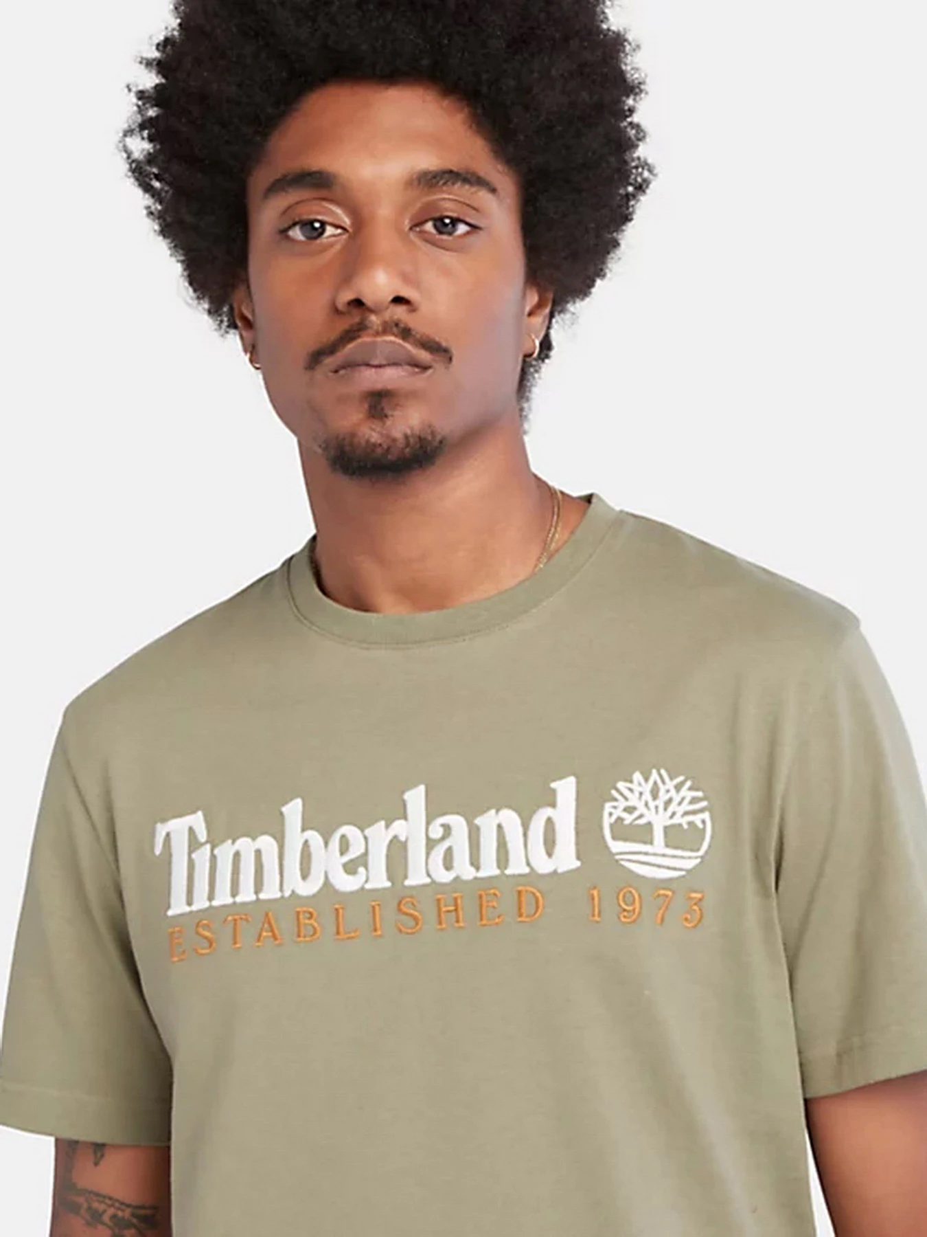 Футболки и поло Timberland модель TB0A2CMA590 Футболки и поло Timberland модель TB0A2CMA590 Фото
